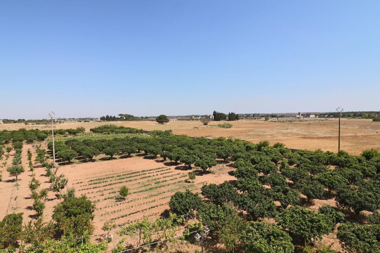 Tenuta Degli Agrumi Carmiano  Екстер'єр фото